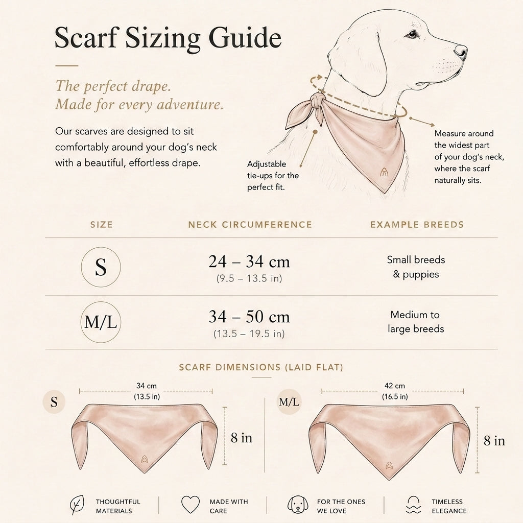 Satin Scarf — Champagne Blush