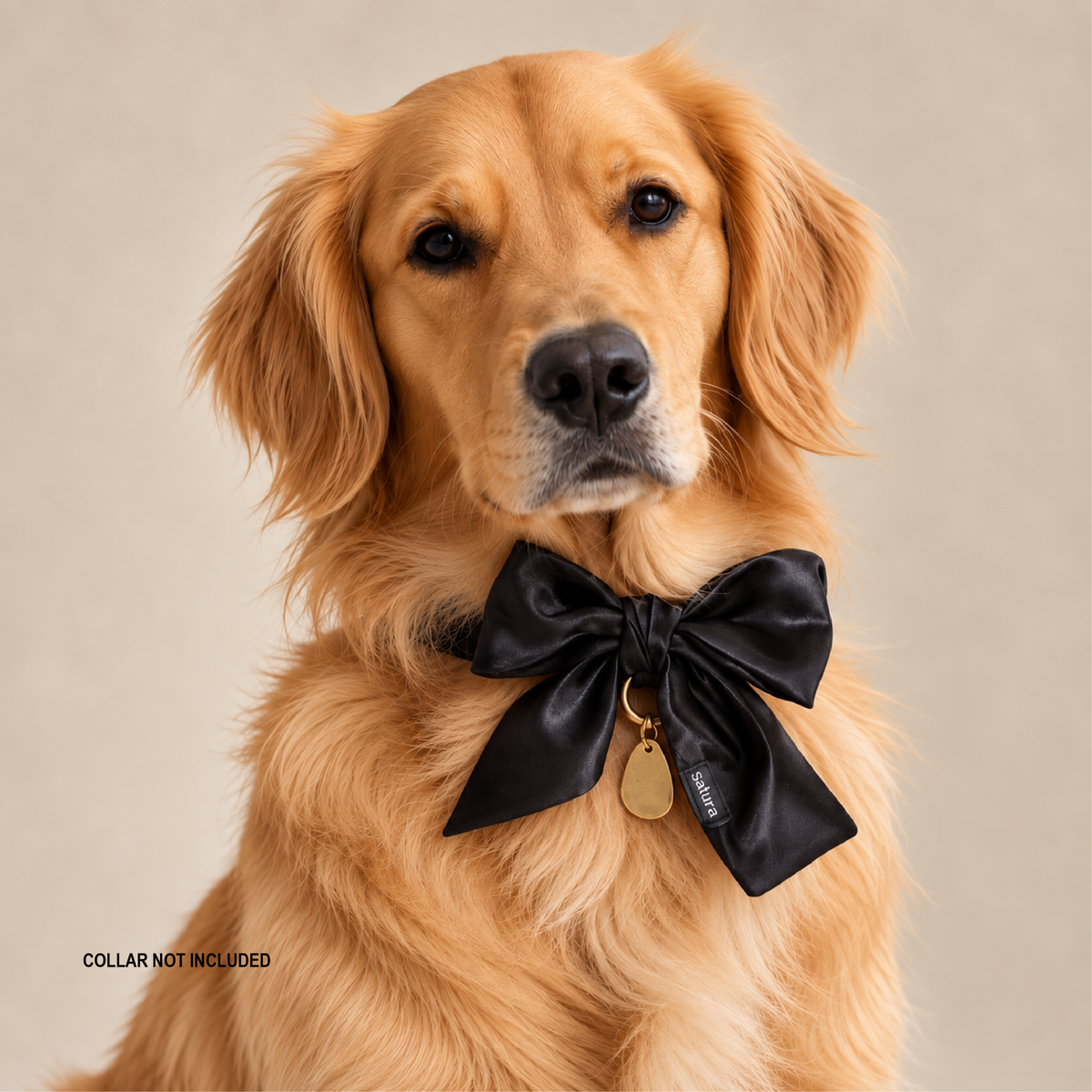 The Mini Scarf - Black