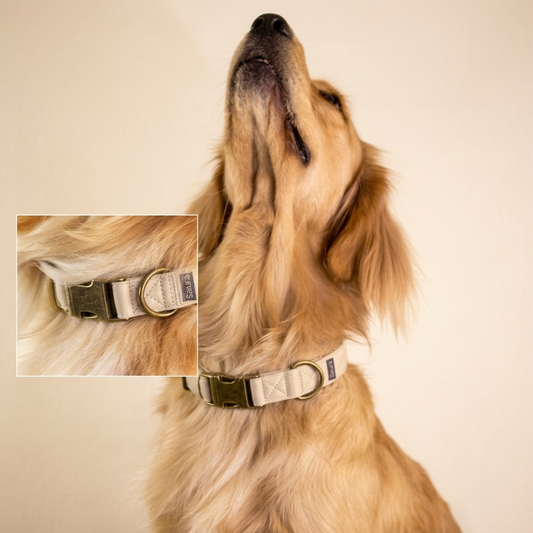 Satin-lined collar - Taupe