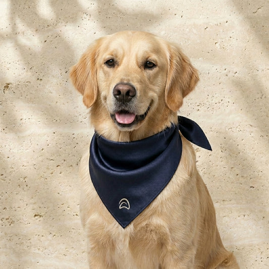 Satin Scarf — Navy Blue