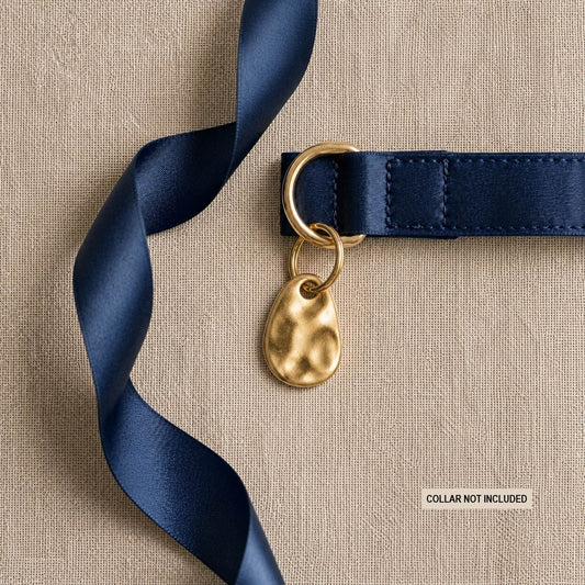 The Pebble - Personalised Dog Tag