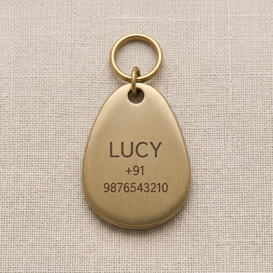 The Pebble — Personalised Dog Tag