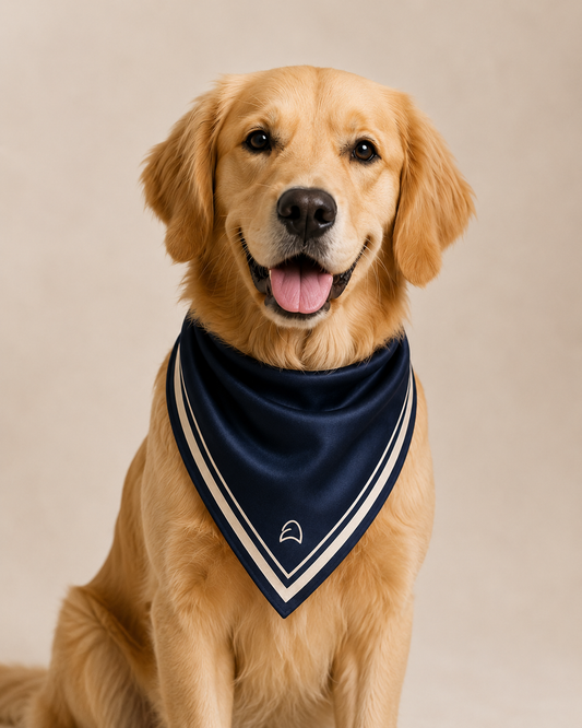 Draped Scarf/Bandana — Navy