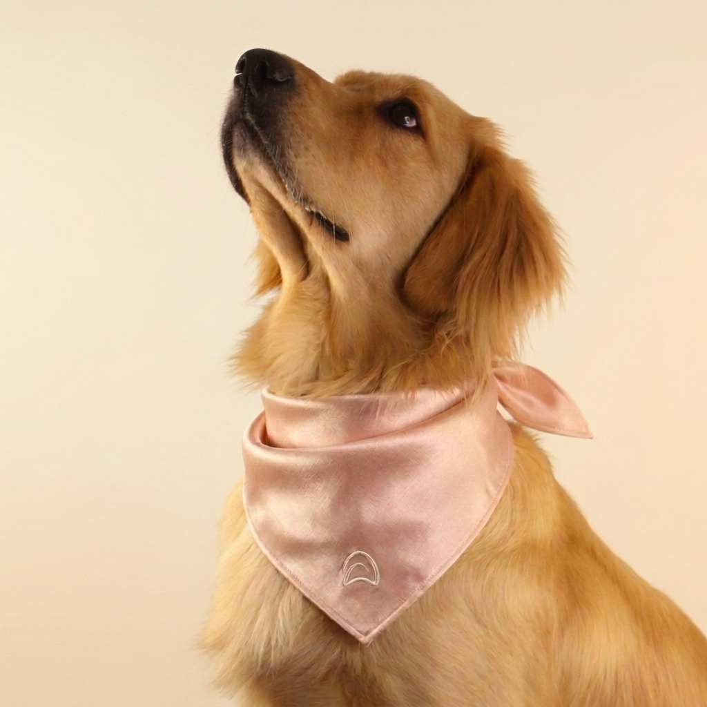Satin Scarf — Champagne Blush