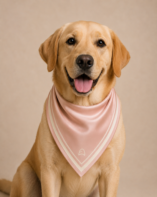 Draped Scarf/Bandana — Blush Pink